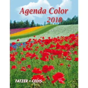 Agenda Color 2018