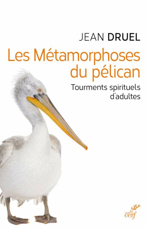Les métamorphoses du pélican - Tourments spirituels d'adultes