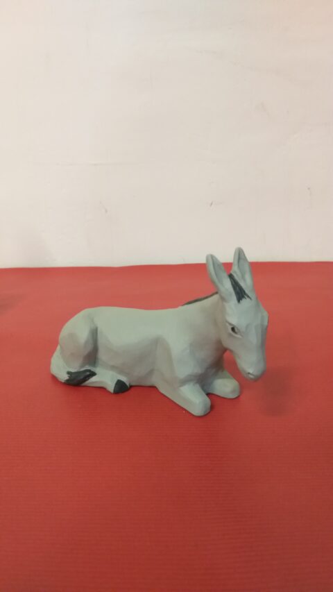 Ane - Nuit de Lumière