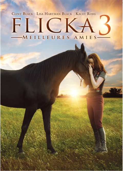 Flicka 3 - Meilleures amies DVD