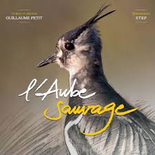 L'Aube Sauvage